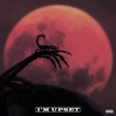 DRAKE - I'm Upset