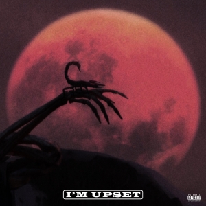 DRAKE - I'm Upset